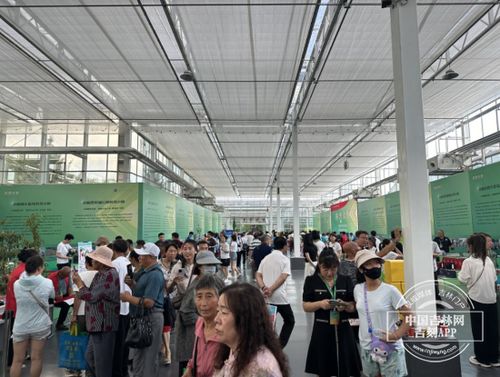農(nóng)博會之旅 探訪科技小院，體驗農(nóng)業(yè)新質生產(chǎn)力與教育科技的融合